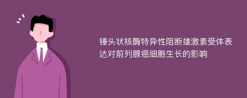 锤头状核酶特异性阻断雄激素受体表达对前列腺癌细胞生长的影响