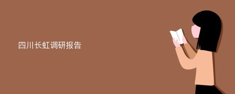 四川长虹调研报告