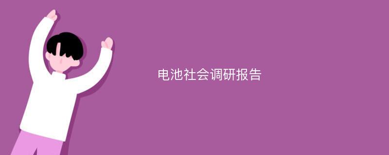 电池社会调研报告