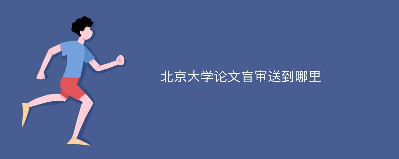 北京大学论文盲审送到哪里