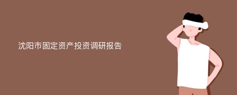 沈阳市固定资产投资调研报告