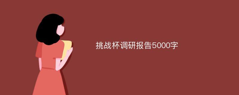 挑战杯调研报告5000字